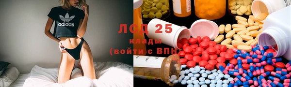 тгк Лагань