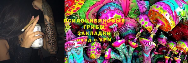 тгк Лагань